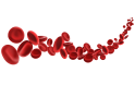 —Pngtree—3d blood cells illustration_8789566 (1)